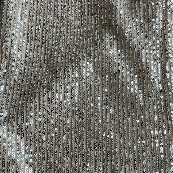 Loft 0 Silver Shiny Skirt MIDI Zip Back - Picture 4 of 4